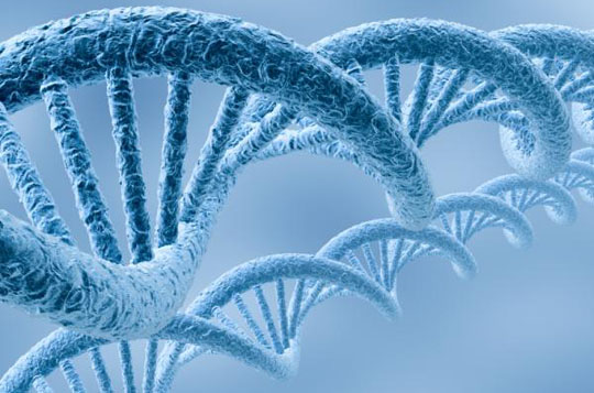 Як проводять аналіз ДНК?