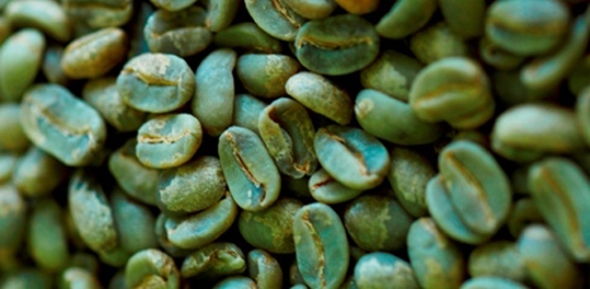 Полезные свойства зеленого кофе